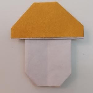 origami funghetto